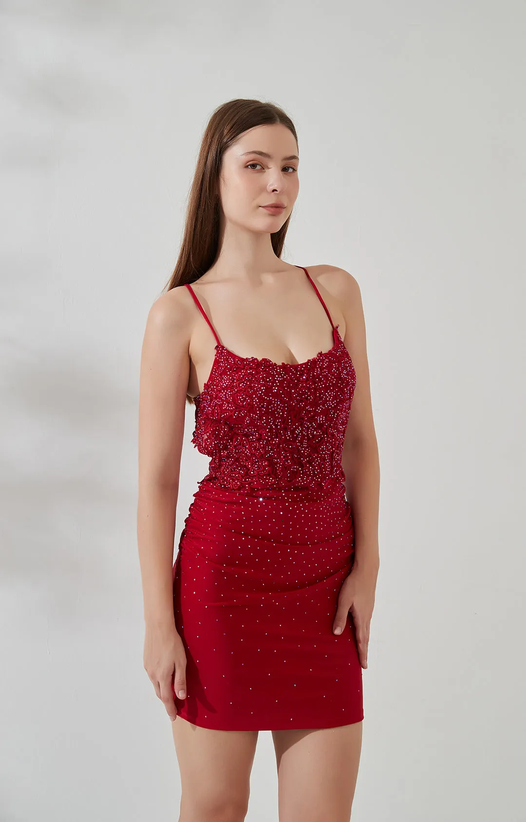 Adjustable Spaghetti Straps Embroidered Appliqued Backless Sheath Mini Dress