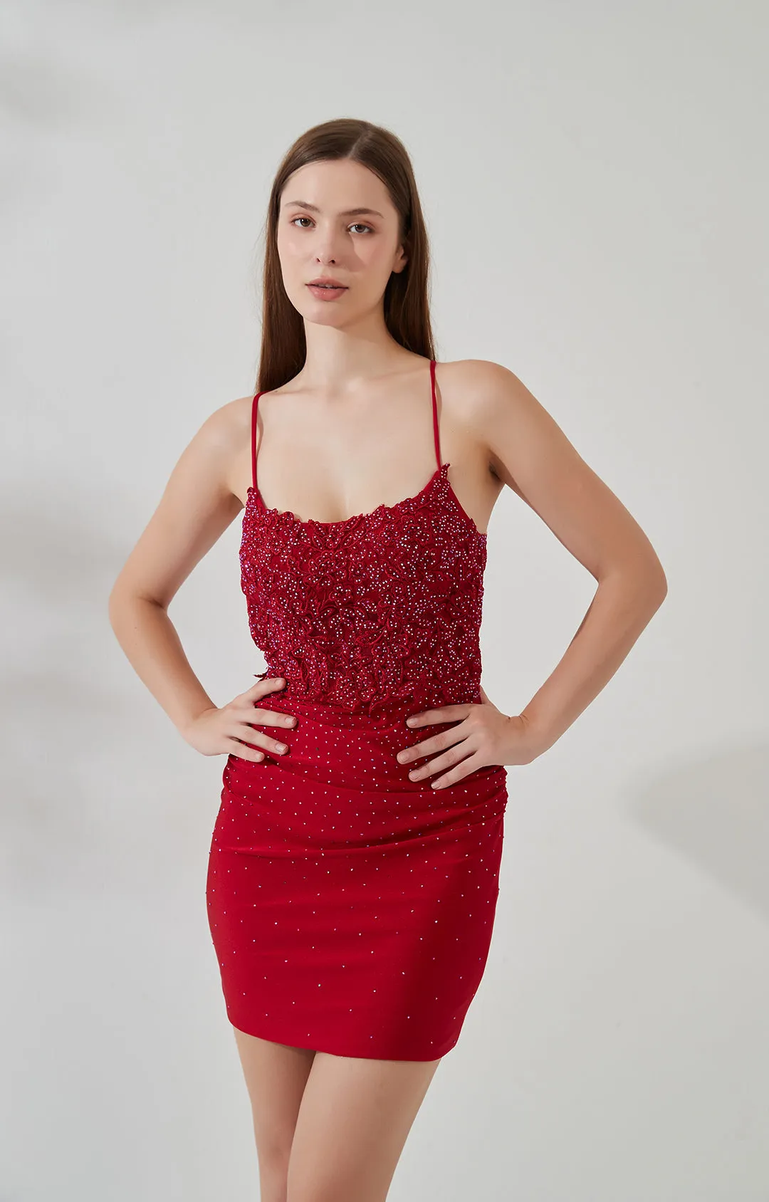 Adjustable Spaghetti Straps Embroidered Appliqued Backless Sheath Mini Dress