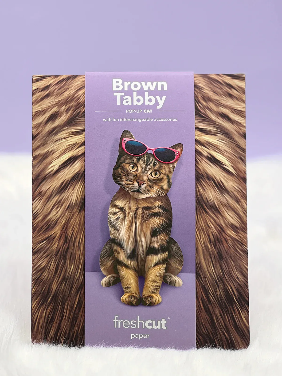 Brown Tabby Cat Pop-Up Card