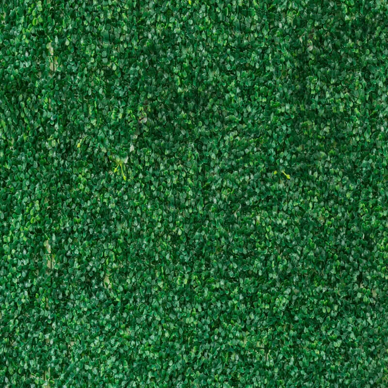 Greenery Wall Backdrop for Birthday&Baby Shower&Wedding&Any Other Party