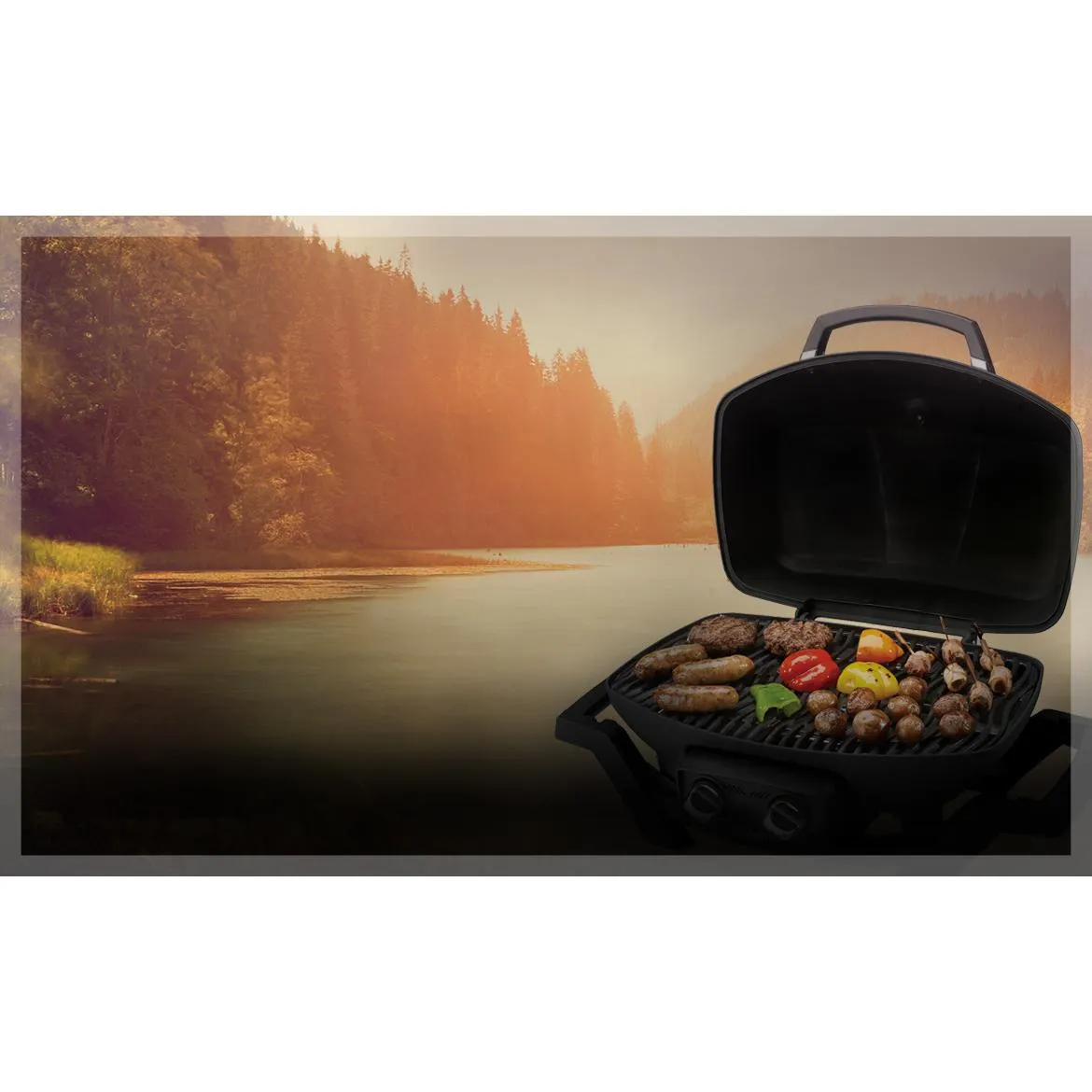Napoleon TravelQ™ Portable Gas Grill PRO285-BK