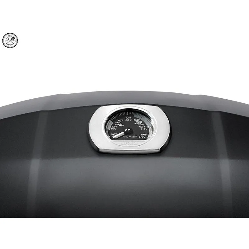 Napoleon TravelQ™ Portable Gas Grill PRO285-BK