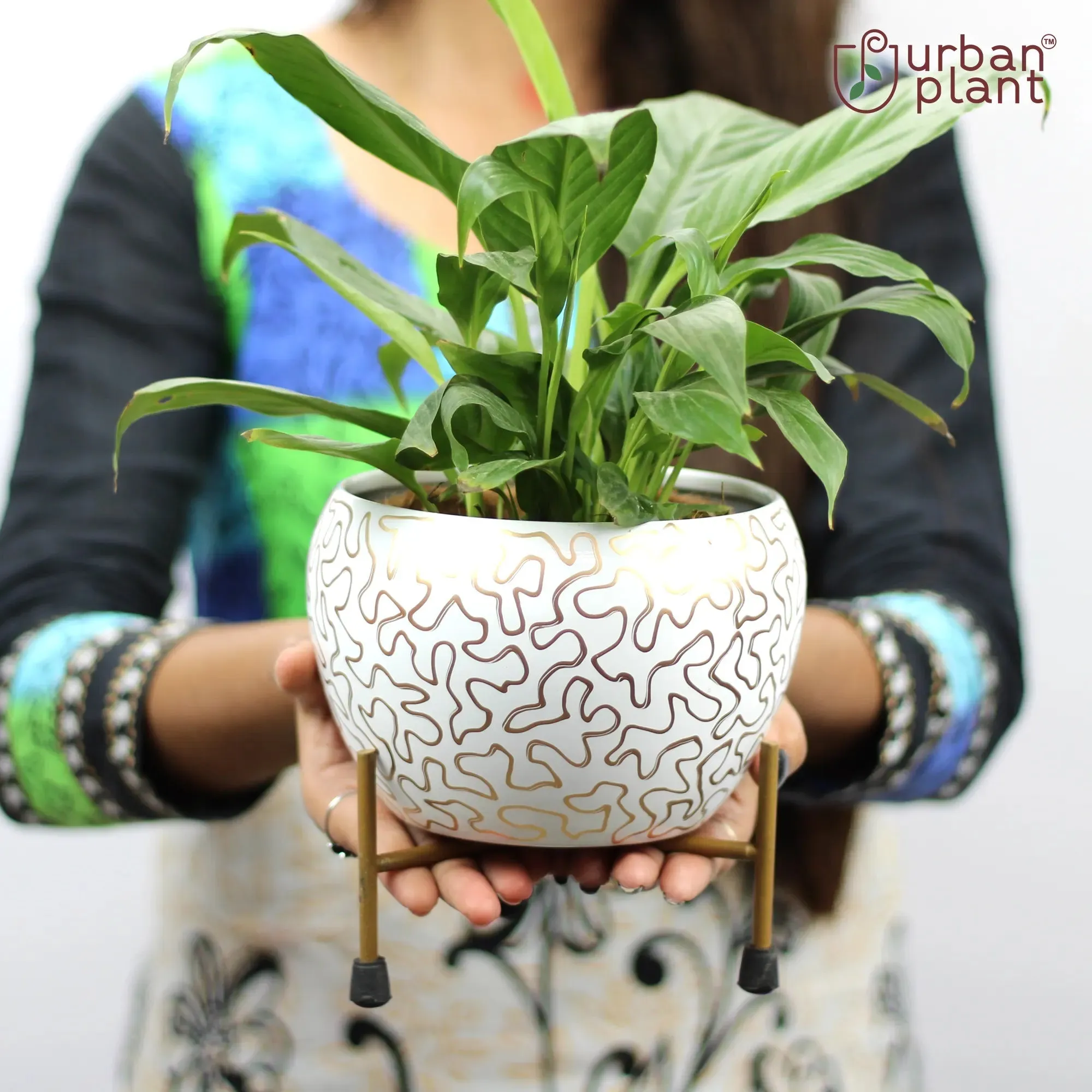 Orchard Table-top Metal Pot